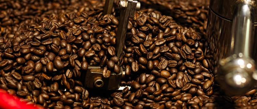 Fresh roasted coffee beans cooling in small-batch roaster.